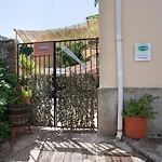 Acciuga House Apartman *