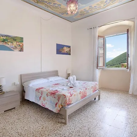 Acciuga House *