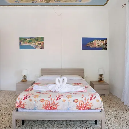 Acciuga House