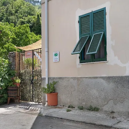 Apartment Acciuga House *