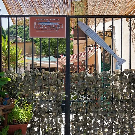 Apartment Acciuga House *