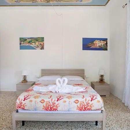 Acciuga House