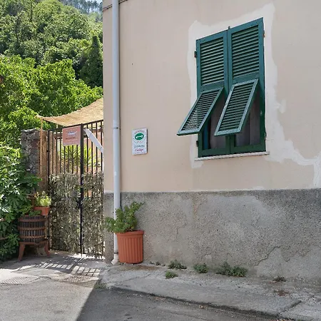 Acciuga House * Biassa