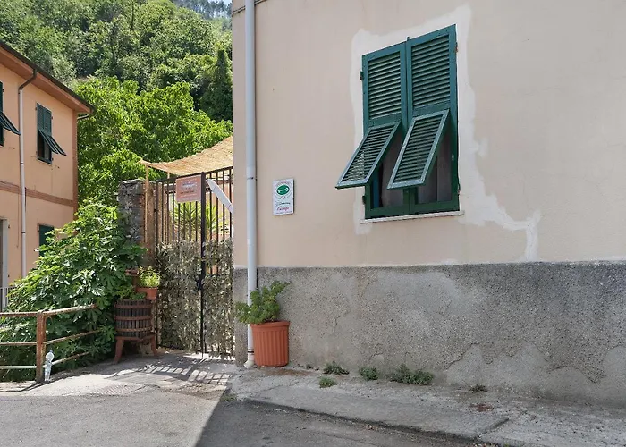 شقة Acciuga House *