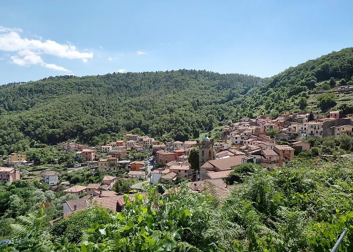 Acciuga House شقة