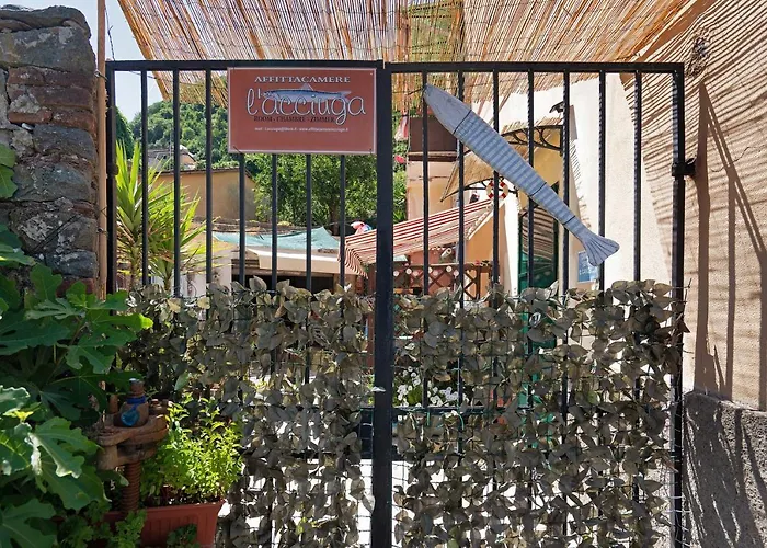 Apartament Acciuga House *