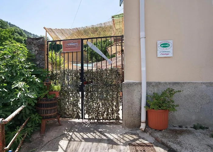 Acciuga House Apartament *